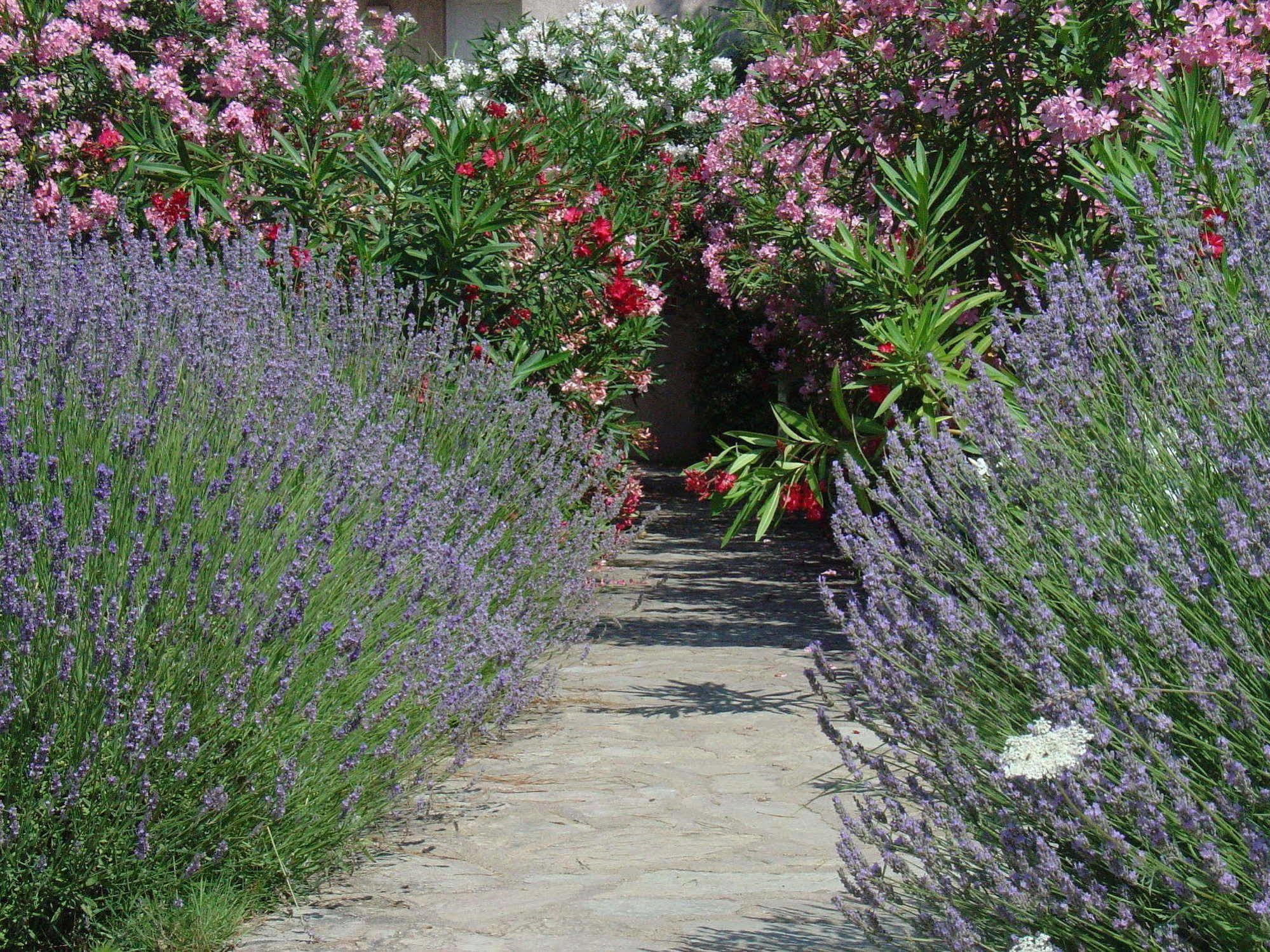 Residence Fiori Di Cala Rossa Lecci Kültér fotó
